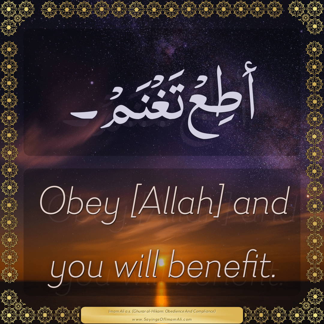 Obey [Allah] and you will benefit.